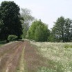 Frühling auf dem Deich bei Warthe 2